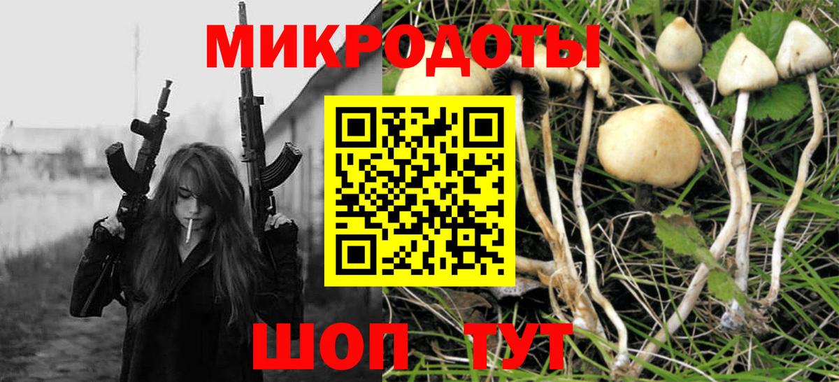 Галлюциногенные грибы ЛСД  Вход с VPN  купить  цена  Карасук 