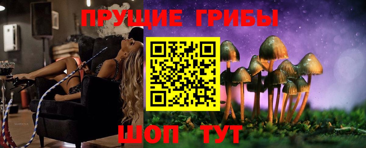 Галлюциногенные грибы Magic Shrooms Карасук